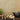 Silkecement Stucco Kit til 10 m²